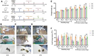 Sishen Pill inhibits intestinal inflammation in diarrhea mice via regulating kidney-intestinal bacteria-metabolic pathway